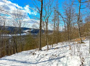 Obrien Rd LOT WP001, Savona, NY 14879