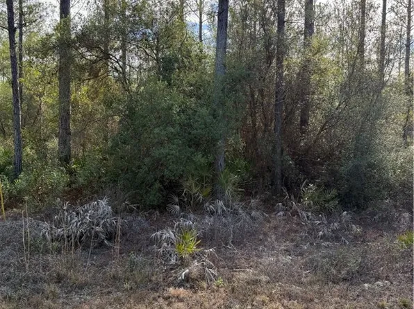 0 Heritage Cir, Hortense, GA 31543