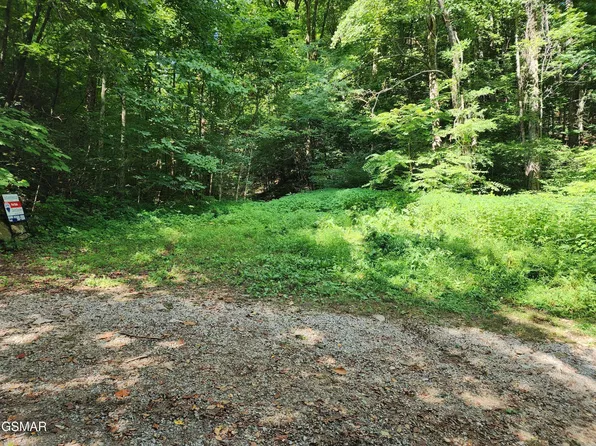 1986 Carrs Creek Rd Lot 5, Townsend, TN 37882