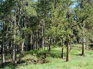 324 Forest St, Hill City, SD 57745