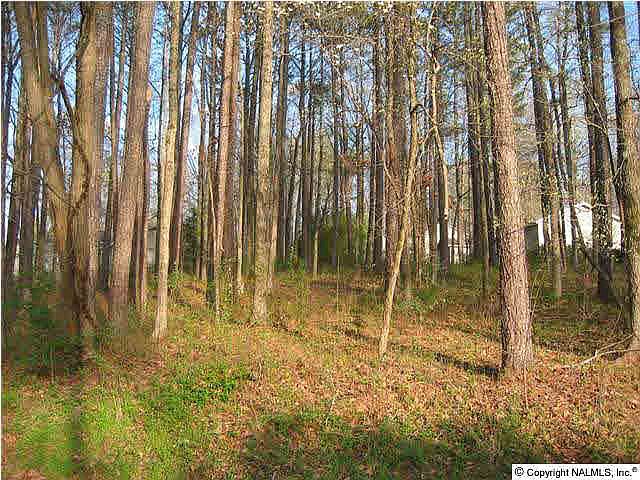 1st image of Hickory Hills Dr