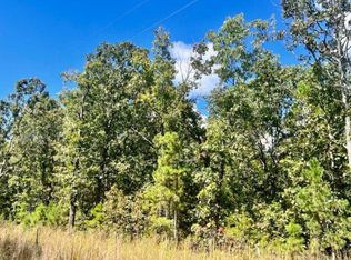 2 Cadle Rd, Licking, MO 65542