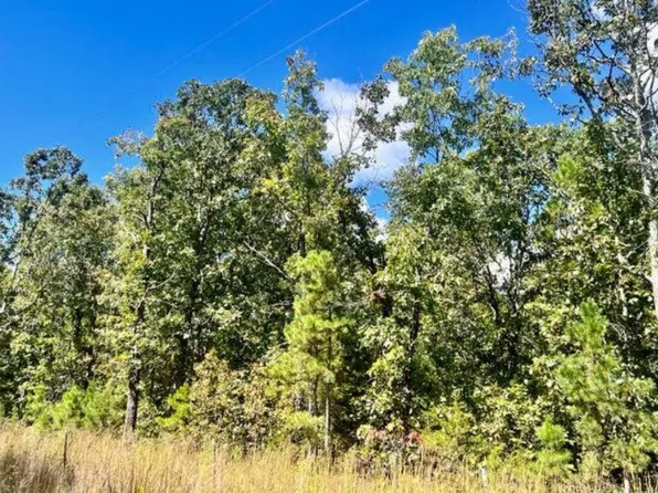 Tbd-2 Cadle Rd, Licking, MO 65542