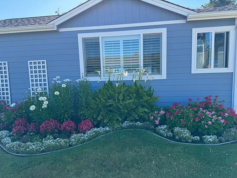 Closeup of garden border.
