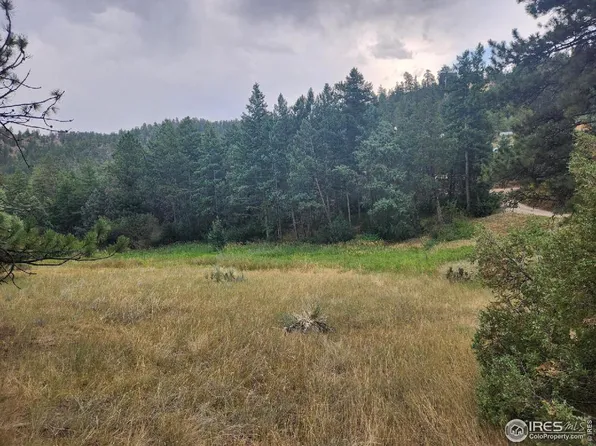 (undisclosed Address), Lyons, CO 80540