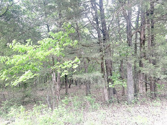 2nd image of Tbd 000 County Road 656