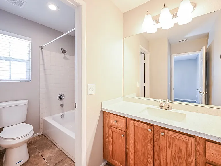 8699 Brilliant Star Dr — Photo 12