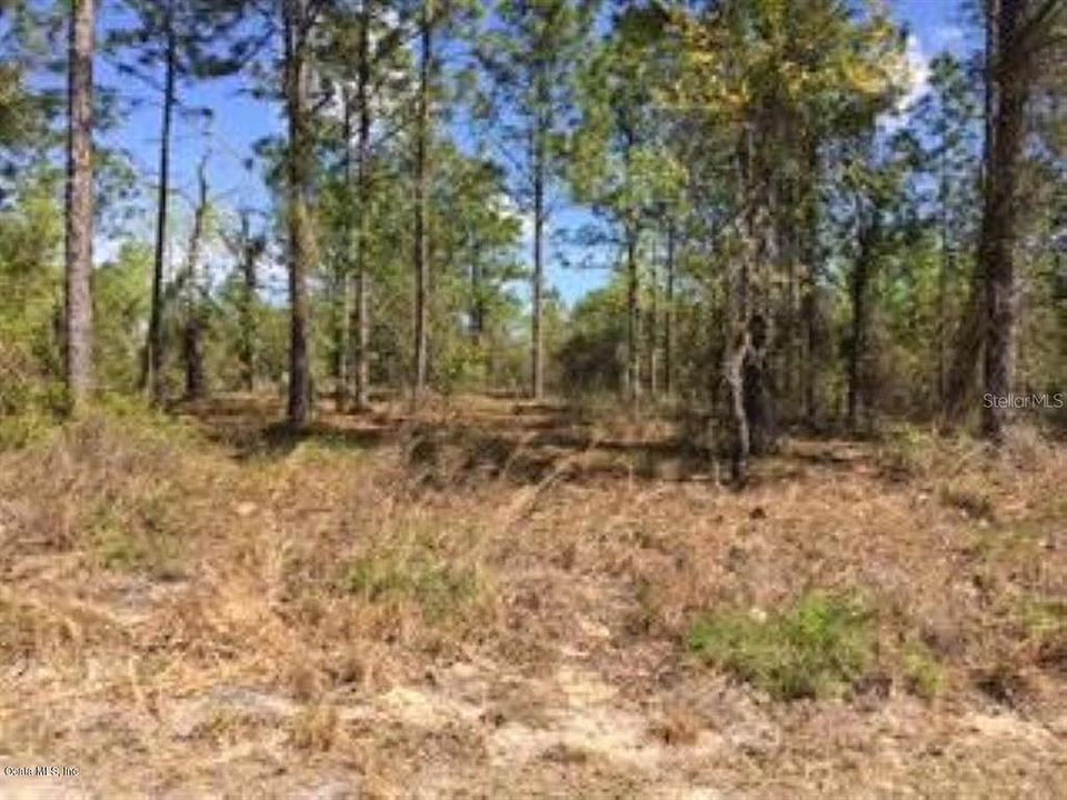 2nd image of 00 SW Beach Blvd