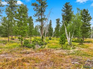 LOT 8 Block 4 Other, Lead, SD 57754