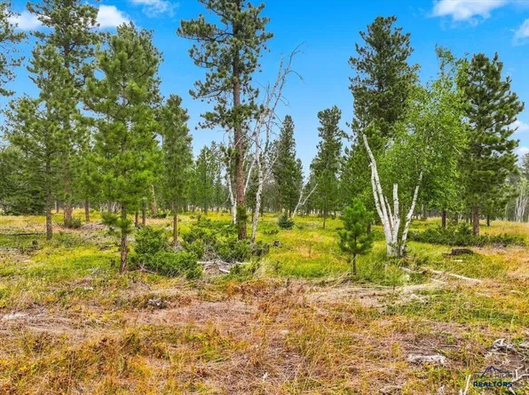 LOT 8 Block 4 Other, Lead, SD 57754