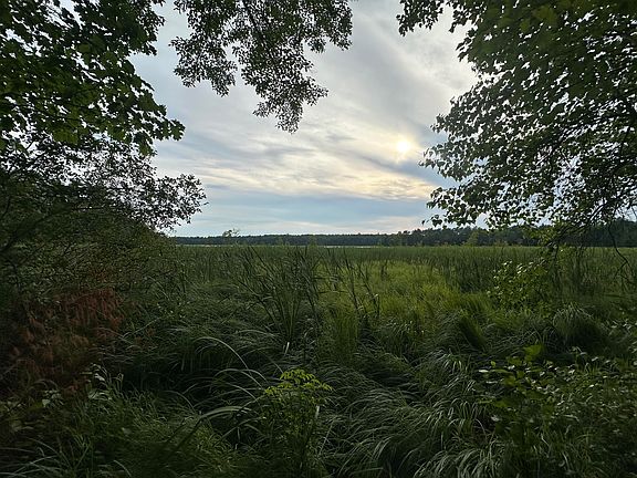 5th image of 110 Travel Pond Lane