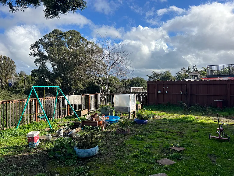 Almond Rd — Photo 15