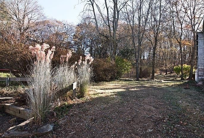 Back yard and garden