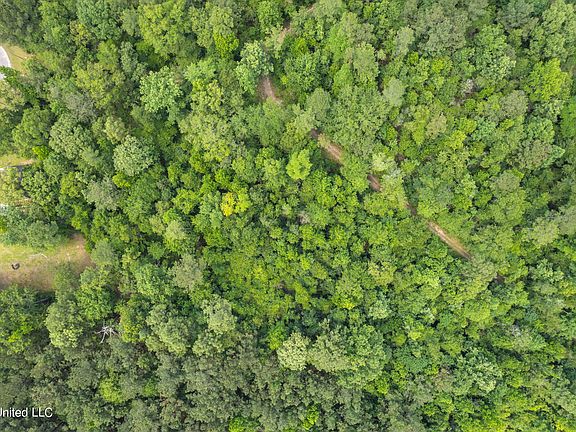2nd image of Pecanwood Lot 6
