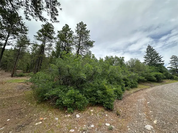 19 Brazos Ests, Chama, NM 87520