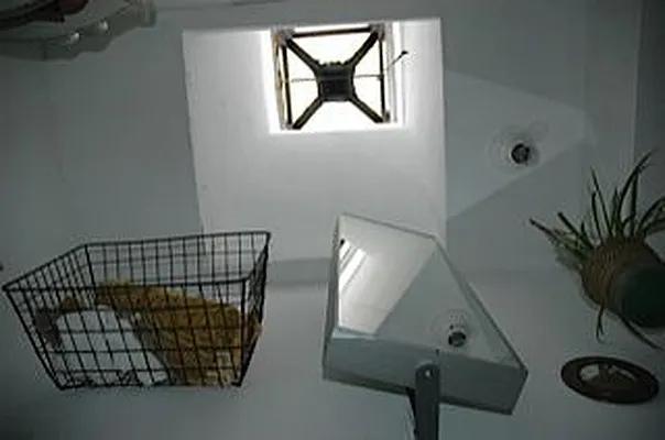 Rented by Boerum Hill Realty | media 43