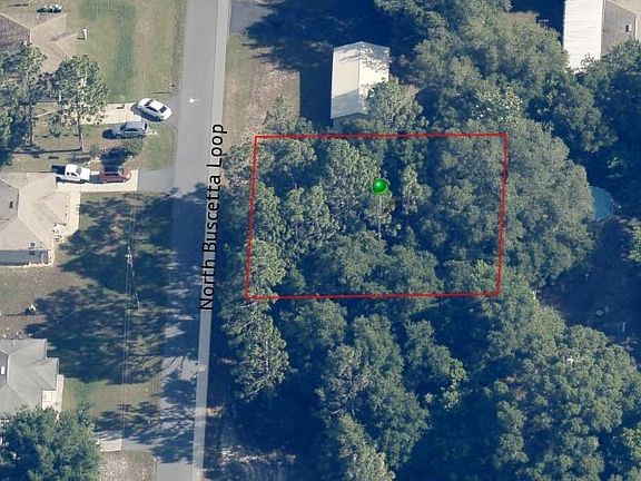 4th image of 8646 N Buscetta Loop