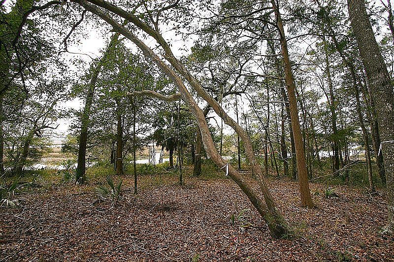 Lot view