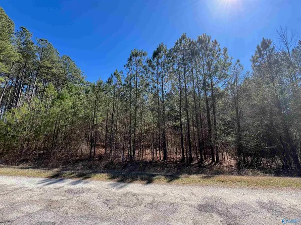 729/ACRE S County Road 586, Heflin, AL 36264