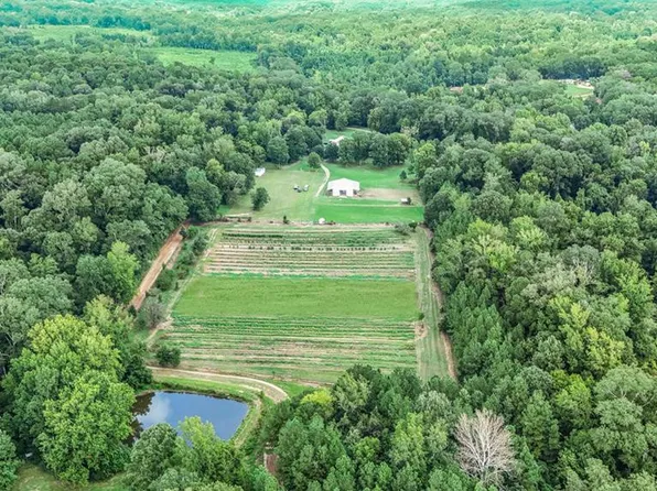 4847 Donegal Rd, Woodville, MS 39669