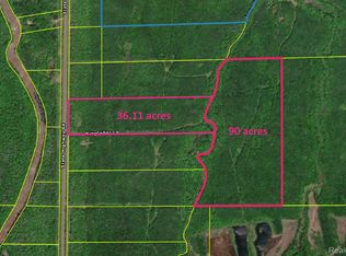 32954 Kingbird Ln, Carp Lake Township, MI 49953