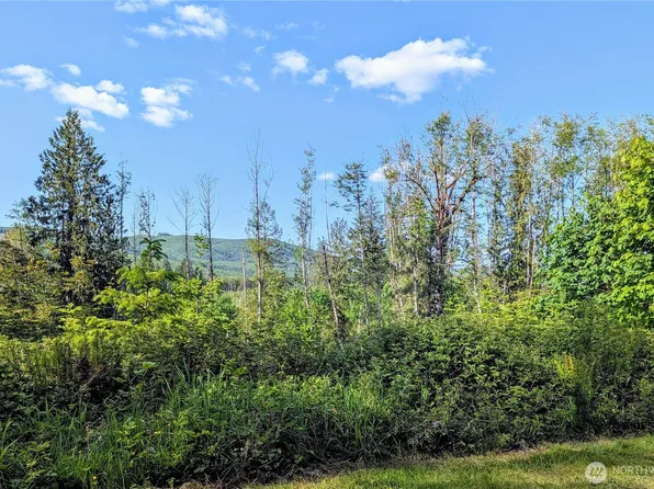 267 Wildcat Road, Toutle, WA 98649