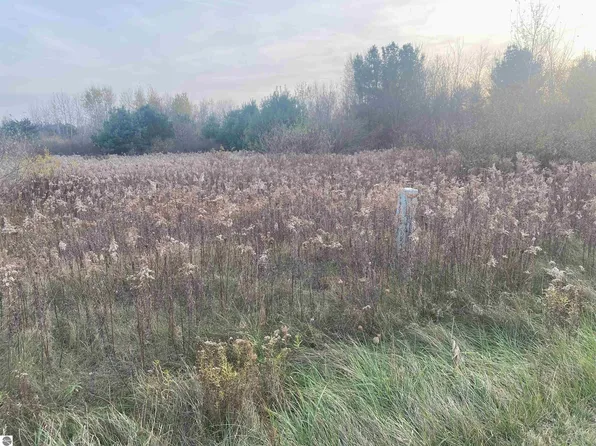 E Wing Rd, Shepherd, MI 48883