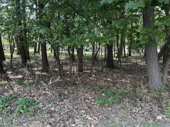 White Sands Dr, Pigeon, MI 48755