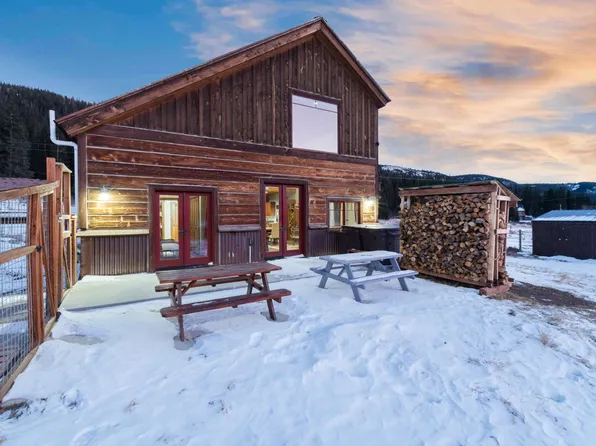 41 Nuthatch Dr, Alma, CO 80420