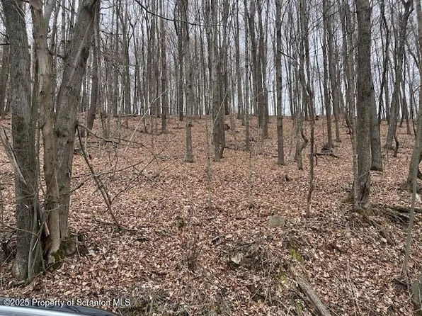 1590 Fraser Rd, Nicholson, PA 18801