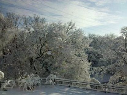 Winter Beauty from Deck