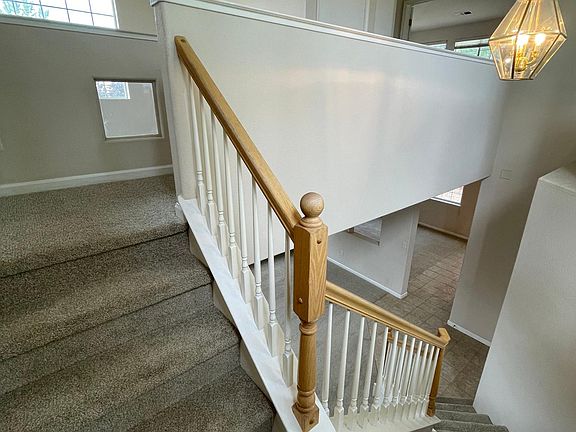 5th image of 2438 Napoli Dr