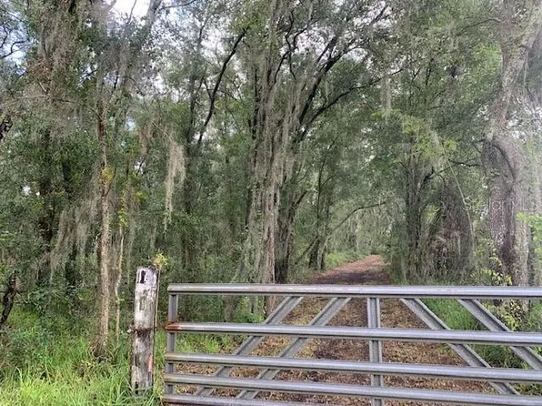 0 McIntosh Rd, Thonotosassa, FL 33592