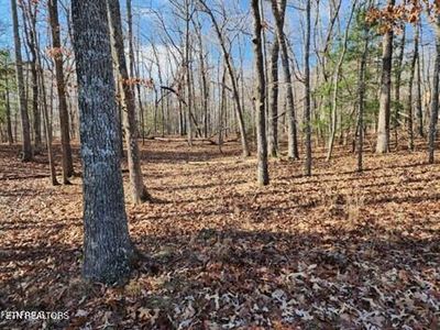 148 Ivy Brook Ln, Fairfield Glade, TN, 38558