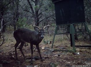 10060 Rebecca Creek Rd, Spring Branch, TX 78070