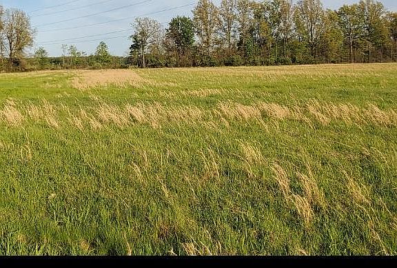 3rd image of 0 Crescent Dr