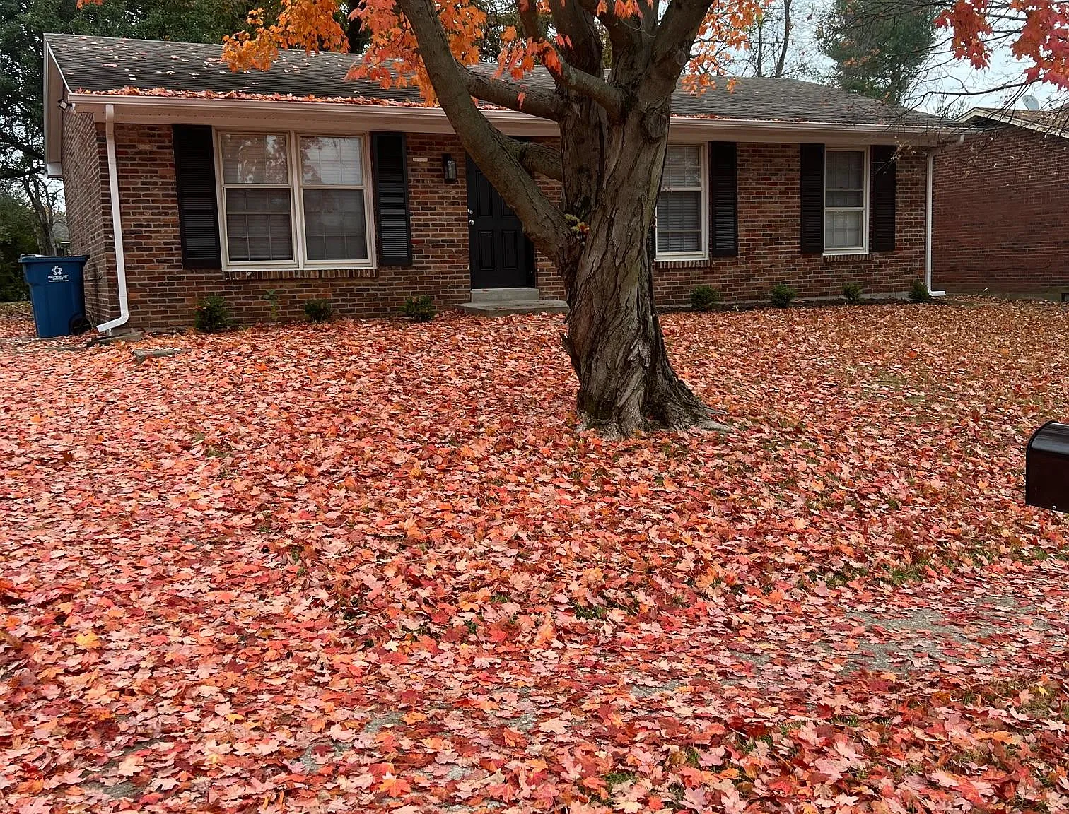 3 bed, 1175 sqft, $1,900 — Photo 1