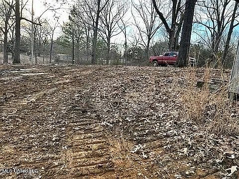 2nd image of 5556 Sycamore Dr