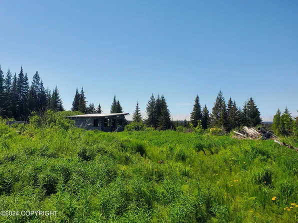 36082 Flintstone St, Anchor Point, AK 99556