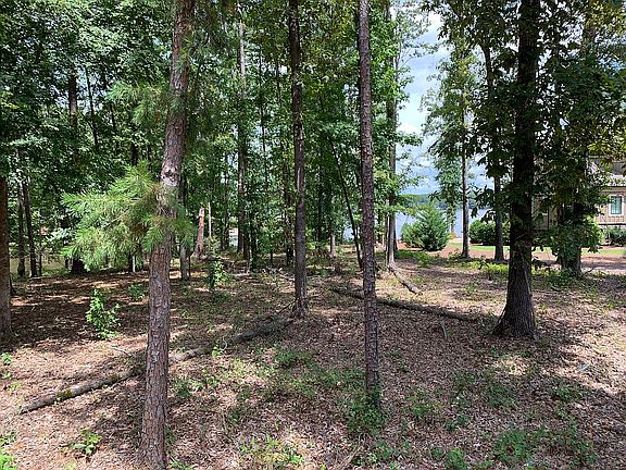 View from back of lot