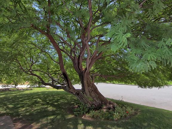 4th image of 1223 Fierro Dr
