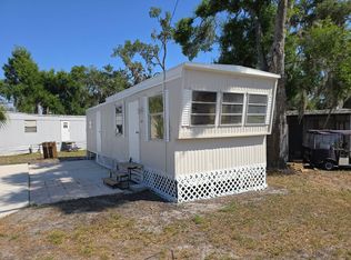 11213 Arlene Ave, Riverview, FL 33578