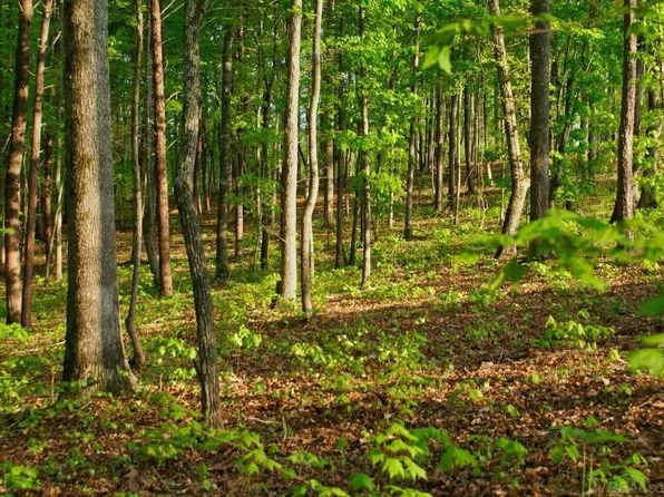 11261 21 Mile Rd, Utica, MI 48317