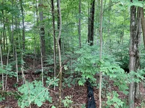 0 Lawton Sheer Rd, Norwich, NY 13815