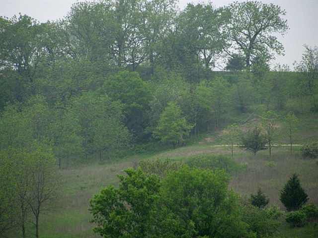 2nd image of 0 W Moscow Rd