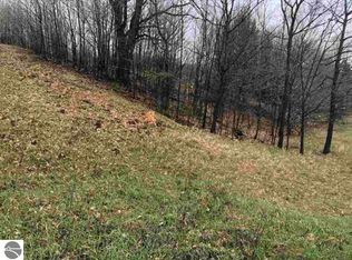7668 Horton Creek Dr LOT 22, Grawn, MI 49637