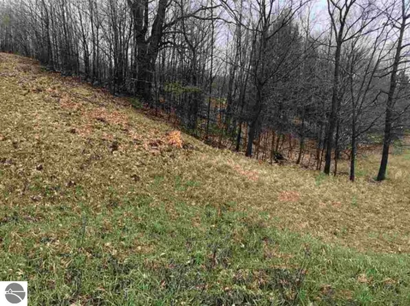 7668 Horton Creek Dr Lot 22, Grawn, MI 49637