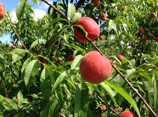 1935 Lake Buffum Rd E, Fort Meade, FL 33841