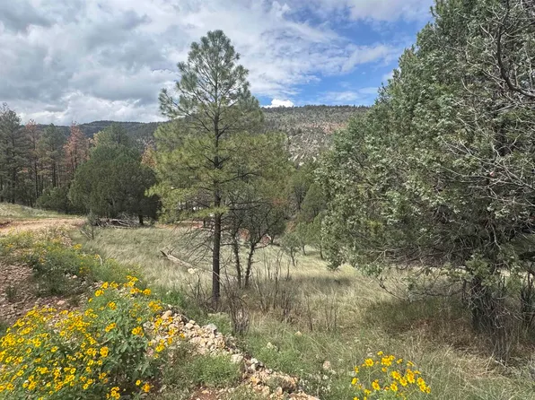 1826-1826A Rio Penasco Rd, Mayhill, NM 88339