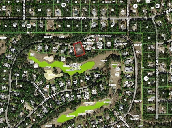 4152 N Pine Valley Loop, Lecanto, FL 34461